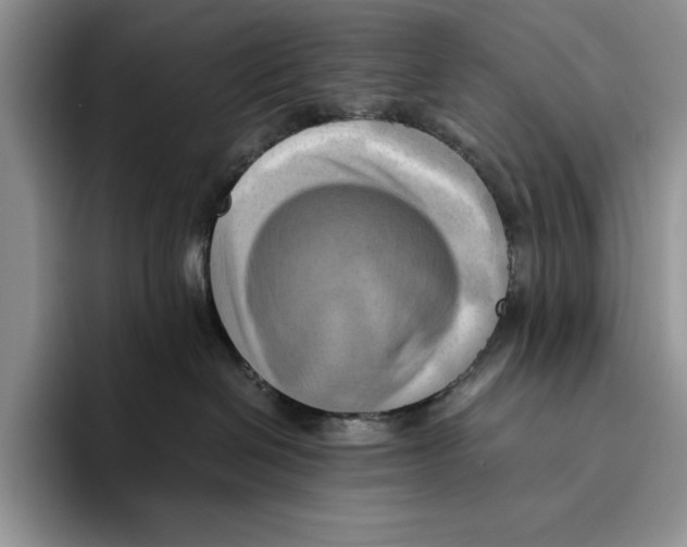 X0000096220286200802151528