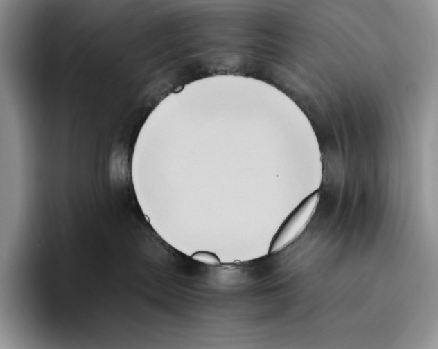 X0000096220287200802151528