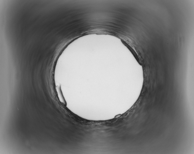 X0000096220289200802151528