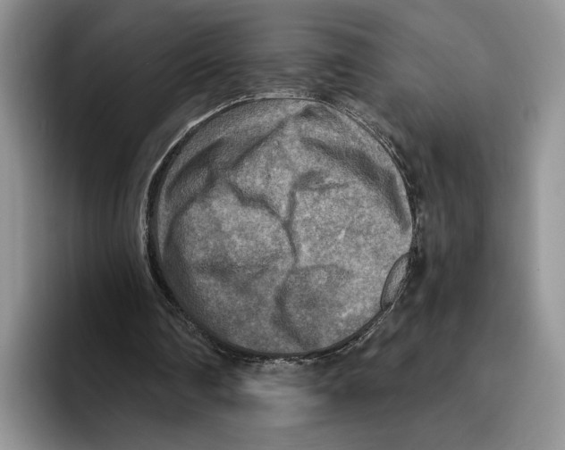 X0000096220290200802151528