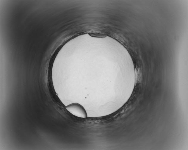 X0000096220291200802151528