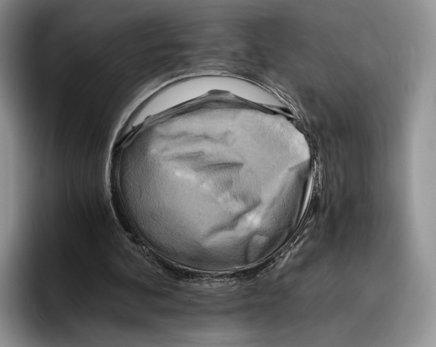 X0000096220292200802151528