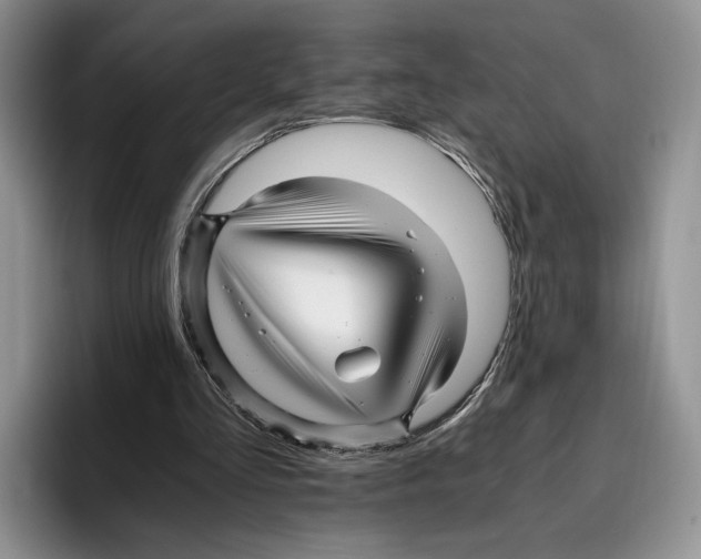 X0000096220293200802151528