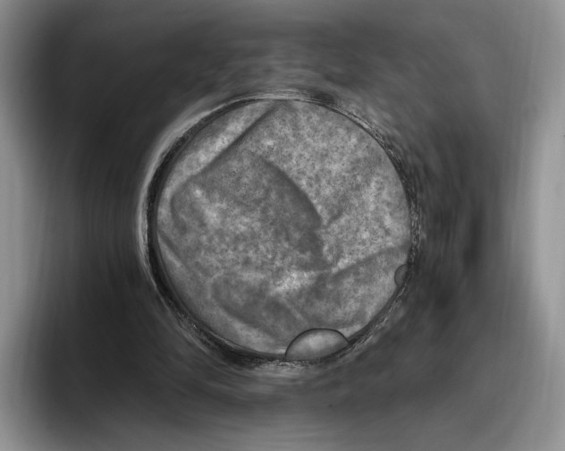 X0000096220294200802151528