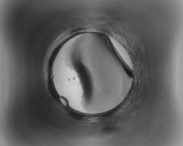 X0000096220295200802151528