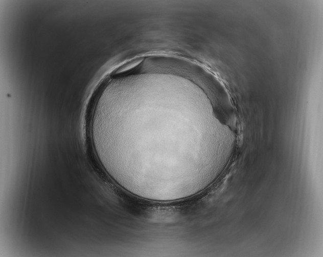 X0000096220296200802151528