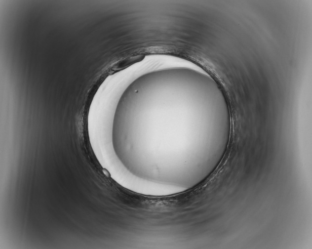 X0000096220297200802151528