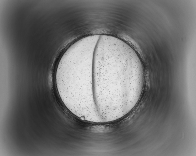 X0000096220298200802151528