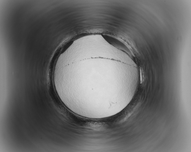 X0000096220300200802151528