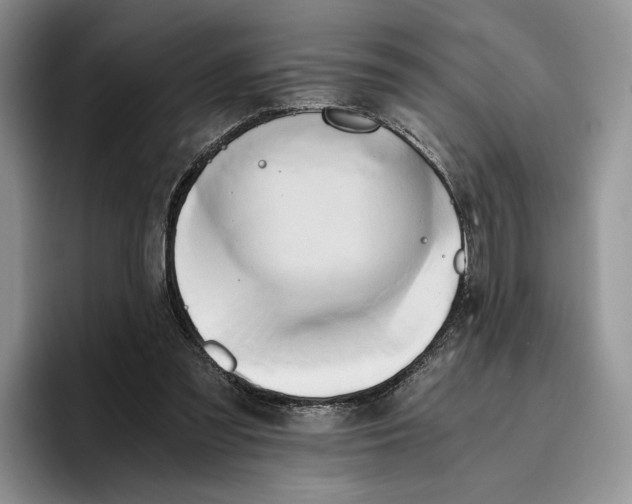 X0000096220301200802151528