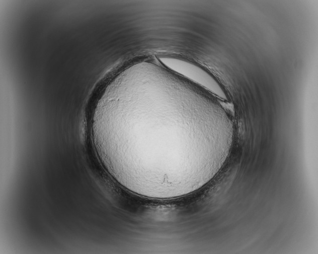 X0000096220304200802151527