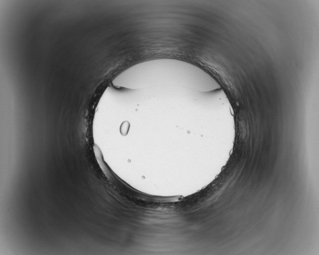 X0000096220308200802151527