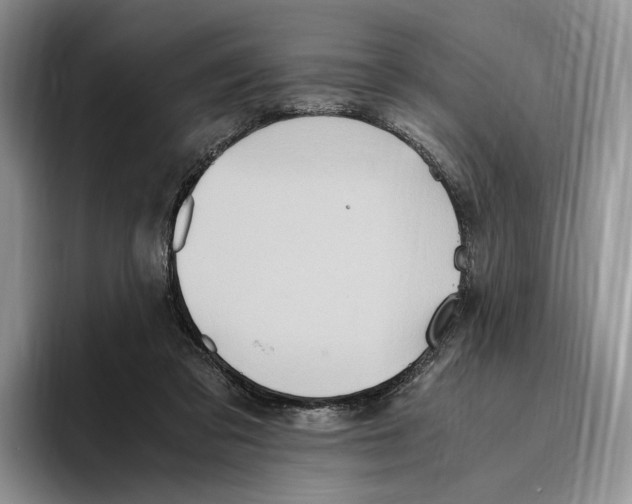 X0000096220309200802151527