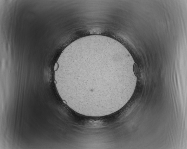 X0000096220311200802151527