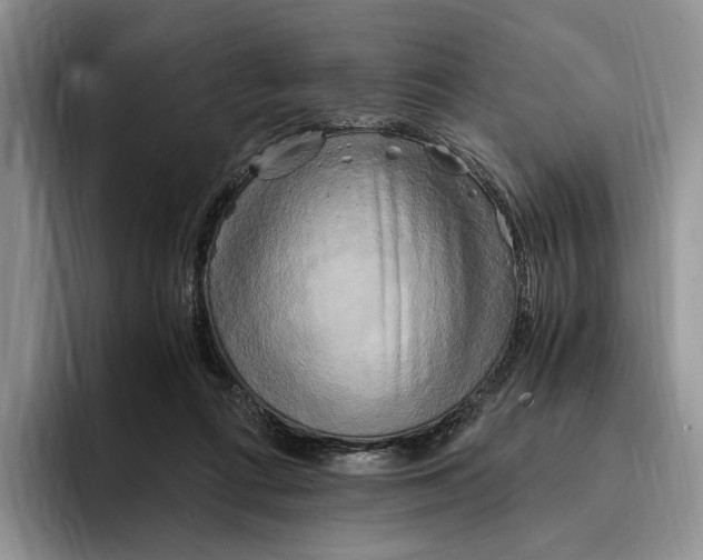 X0000096220312200802151527