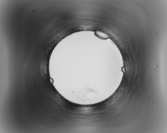 X0000096220313200802151527