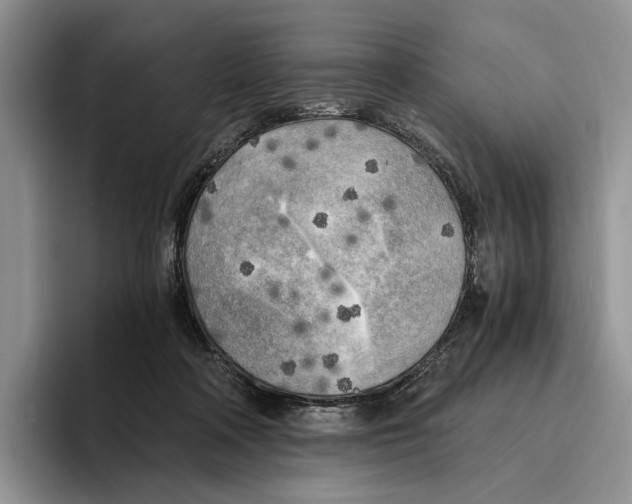 X0000096220314200802151527