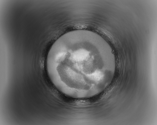 X0000096220315200802151527