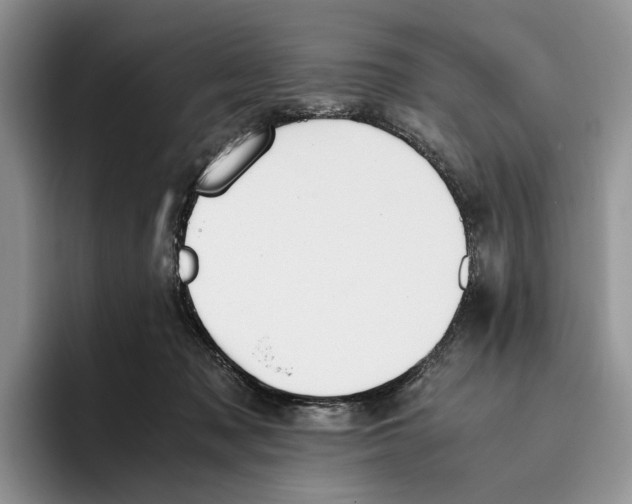 X0000096220317200802151527