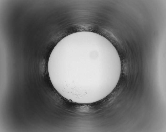 X0000096220318200802151527