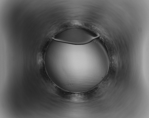 X0000096220320200802151527