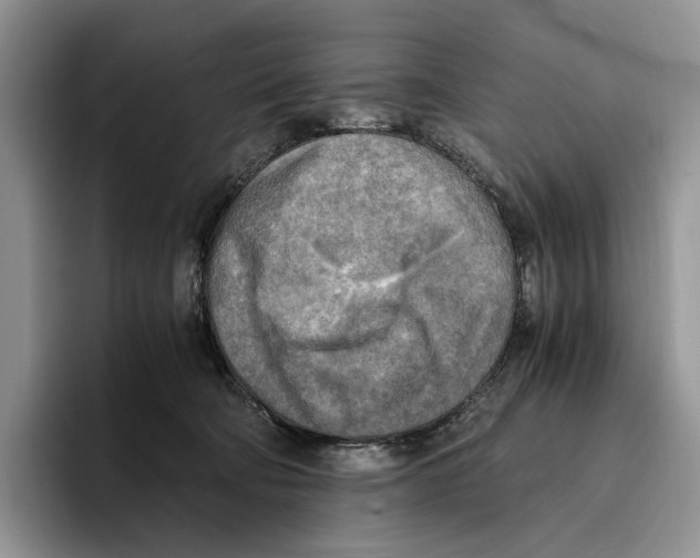 X0000096220322200802151527