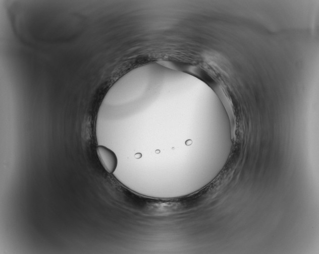 X0000096220323200802151527