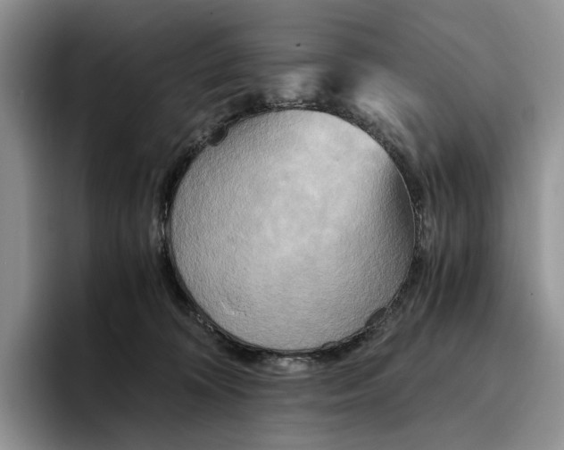 X0000096220324200802151527