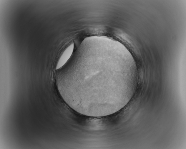 X0000096220325200802151527