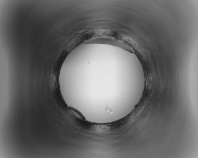 X0000096220327200802151527