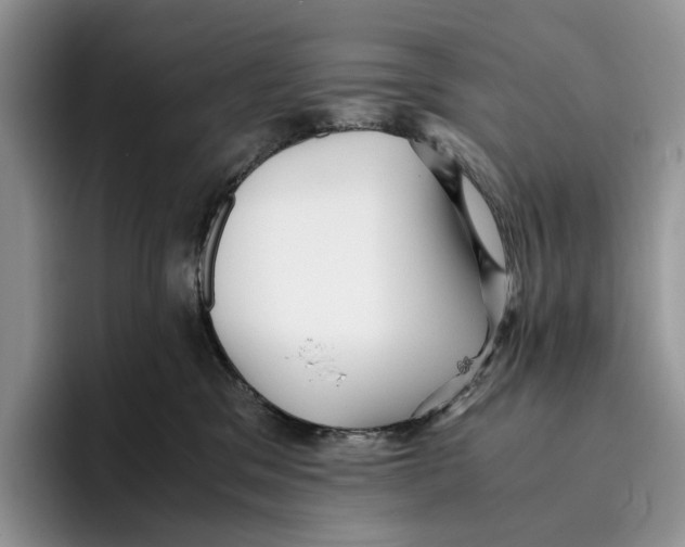 X0000096220329200802151527