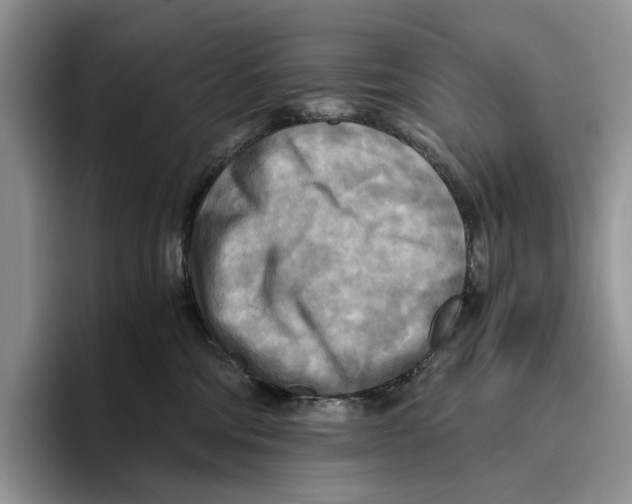 X0000096220330200802151527