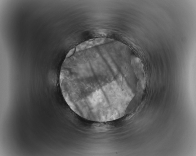 X0000096220331200802151527