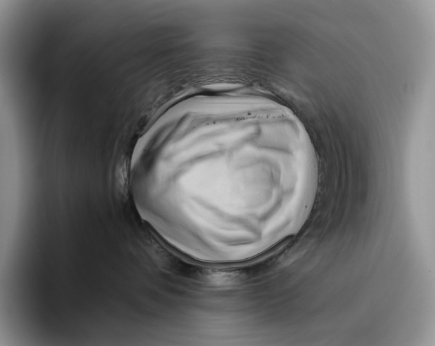 X0000096220336200802151527