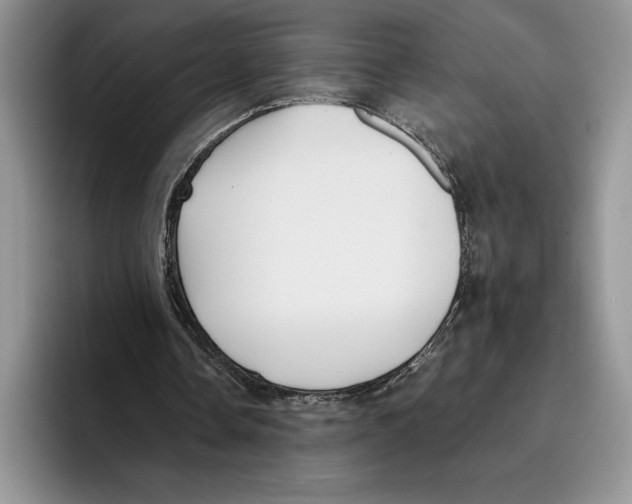 X0000096220338200802151526