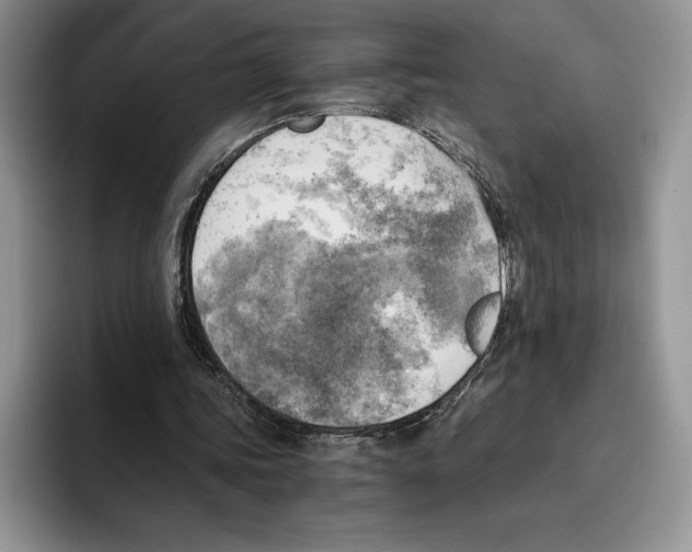 X0000096220339200802151526