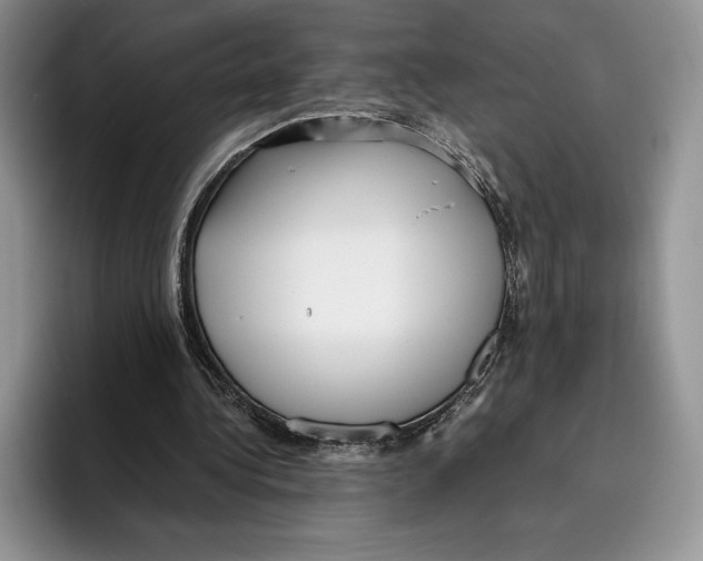 X0000096220340200802151526