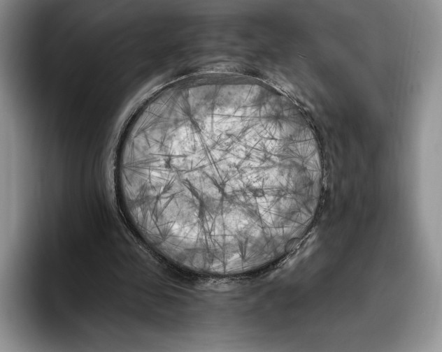 X0000096220341200802151526