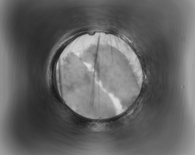 X0000096220343200802151527