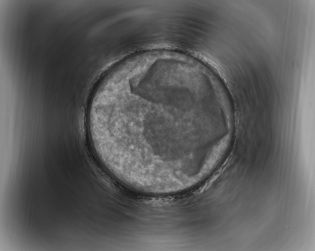 X0000096220345200802151527