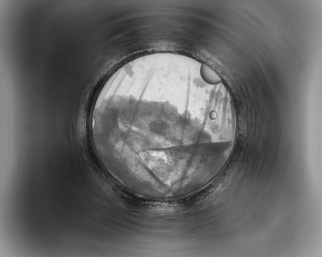 X0000096220347200802151527