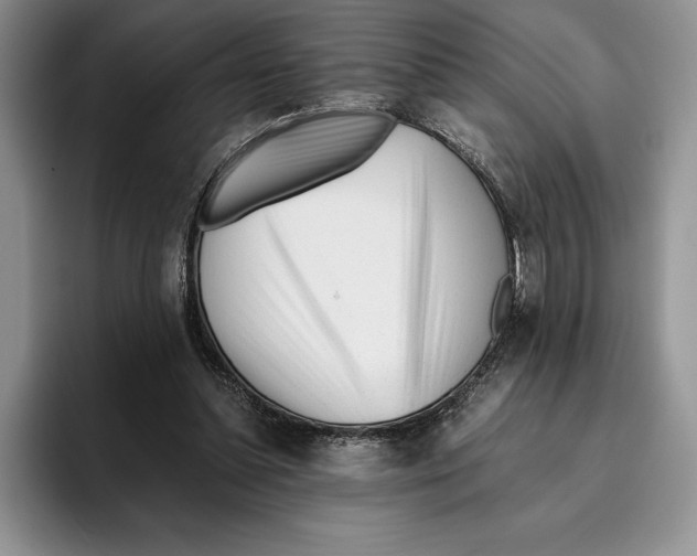 X0000096220348200802151527