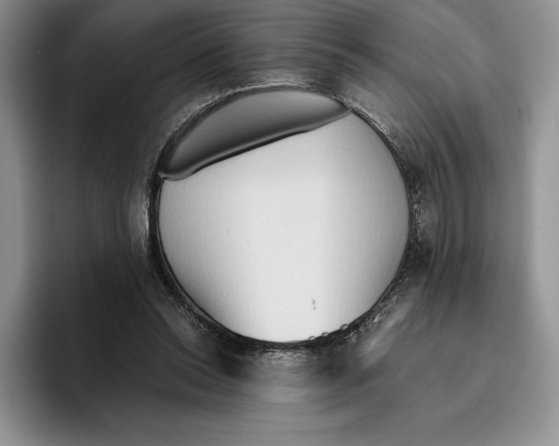 X0000096220350200802151527