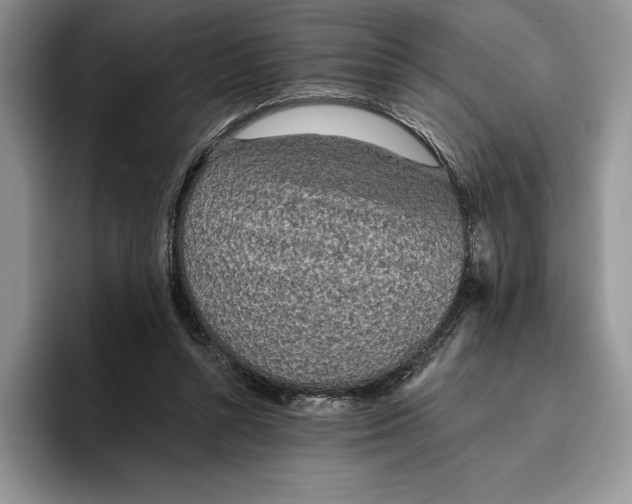 X0000096220352200802151527