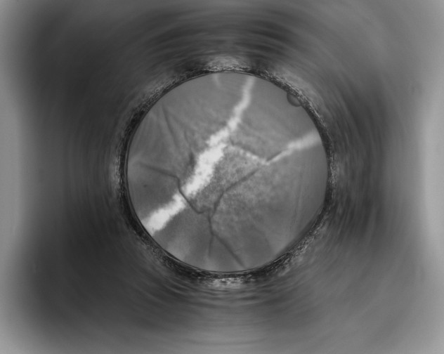 X0000096220353200802151527