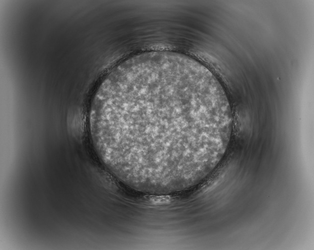 X0000096220355200802151527