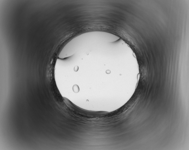 X0000096220356200802151527