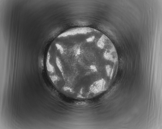 X0000096220358200802151527