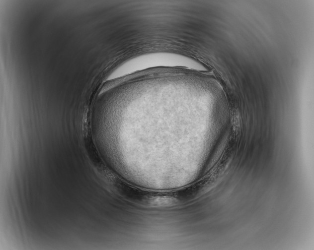 X0000096220360200802151527