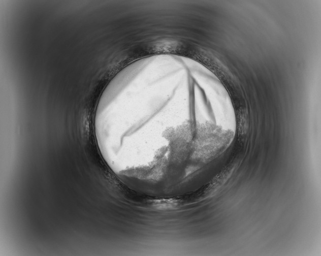 X0000096220363200802151527